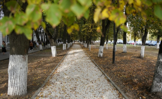 8 ноября Венера и Плутон обнажат скрытое: 4 знака получат ответы на вопросы — Телец, Рак и не только