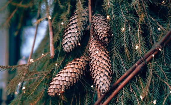 5 хитрых способов навести чистоту, не убирая декор: игрушки и гирлянды оставьте на елке