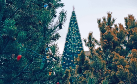 От ширпотреба до хвойной иконы стиля: гид по миру искусственных ёлок — как выбрать, чтобы радовала