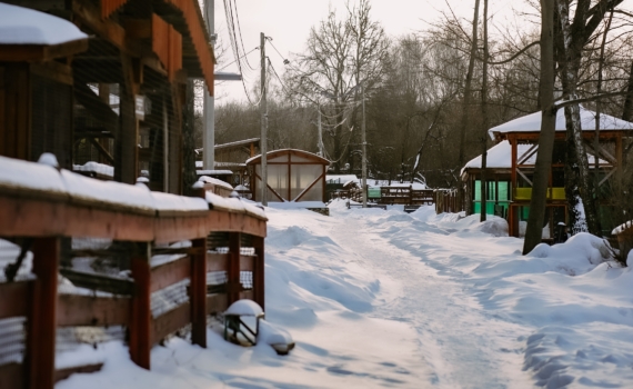 Куда уходит ток? Секрет заземления, о котором молчат строители — никакой магии, только физика Куда уходит ток? Секрет заземления, о котором молчат строители — никакой магии, только физика